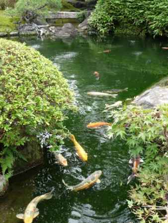 第38回 京の夏の旅 文化財特別公開　祇園甲部歌舞連場庭園