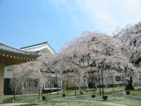 醍醐寺　霊宝館の春期特別展