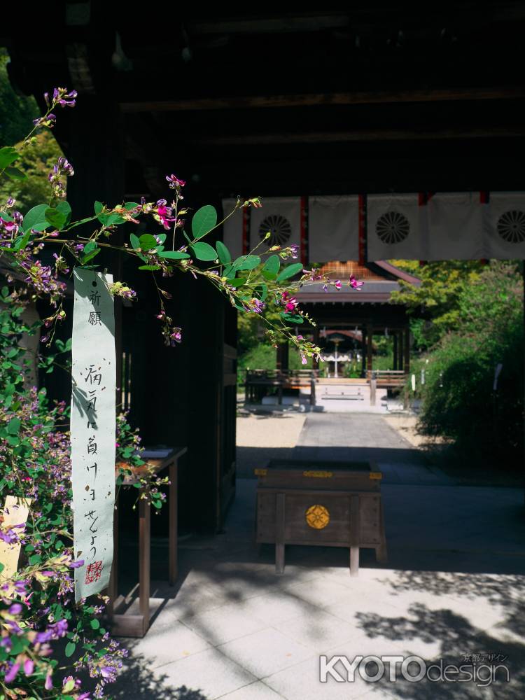 梨木神社の萩