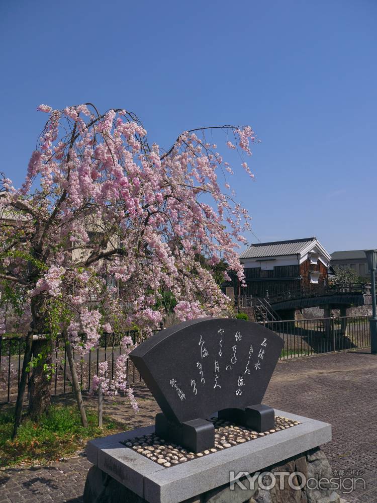 安居橋と枝垂れ桜