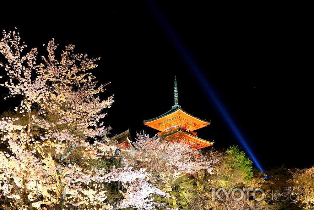 清水寺の桜ライトアップ