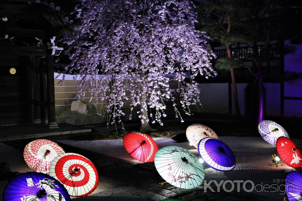 妙顕寺桜ライトアップ2018