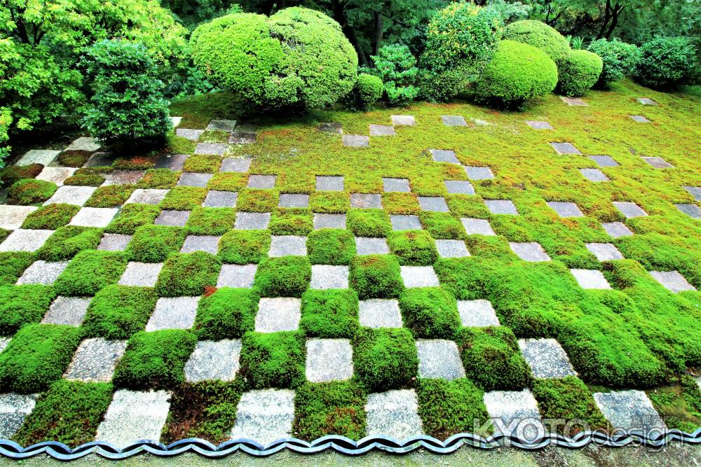 雨上がりの東福寺北庭