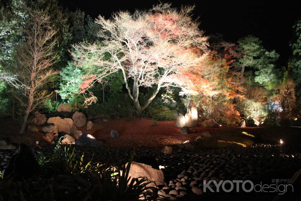 ライトアップされる秋の宝厳院庭園