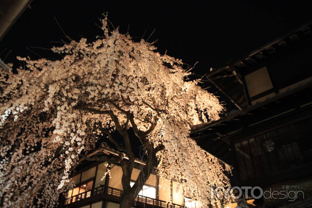 夜桜ライトアップ　清水寺