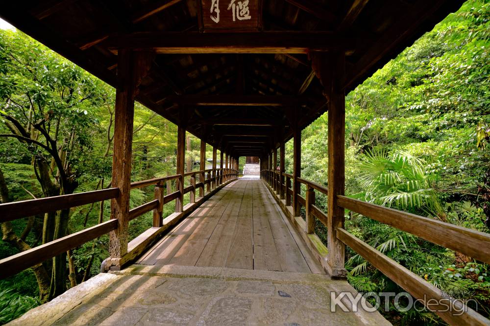 京都散歩：東福寺15