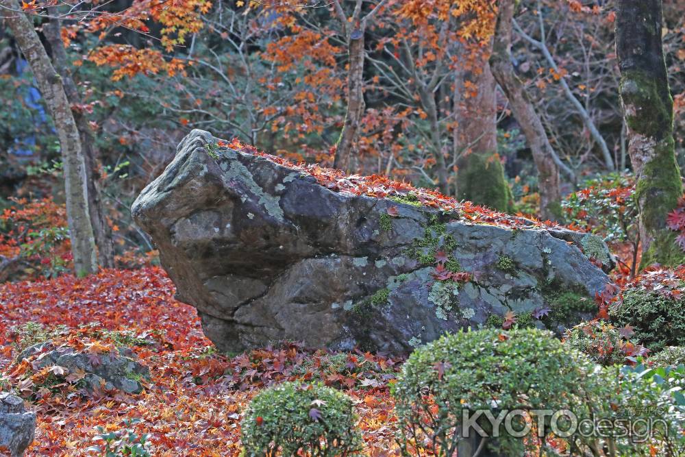 紅葉の落ち葉にうまる石の牛