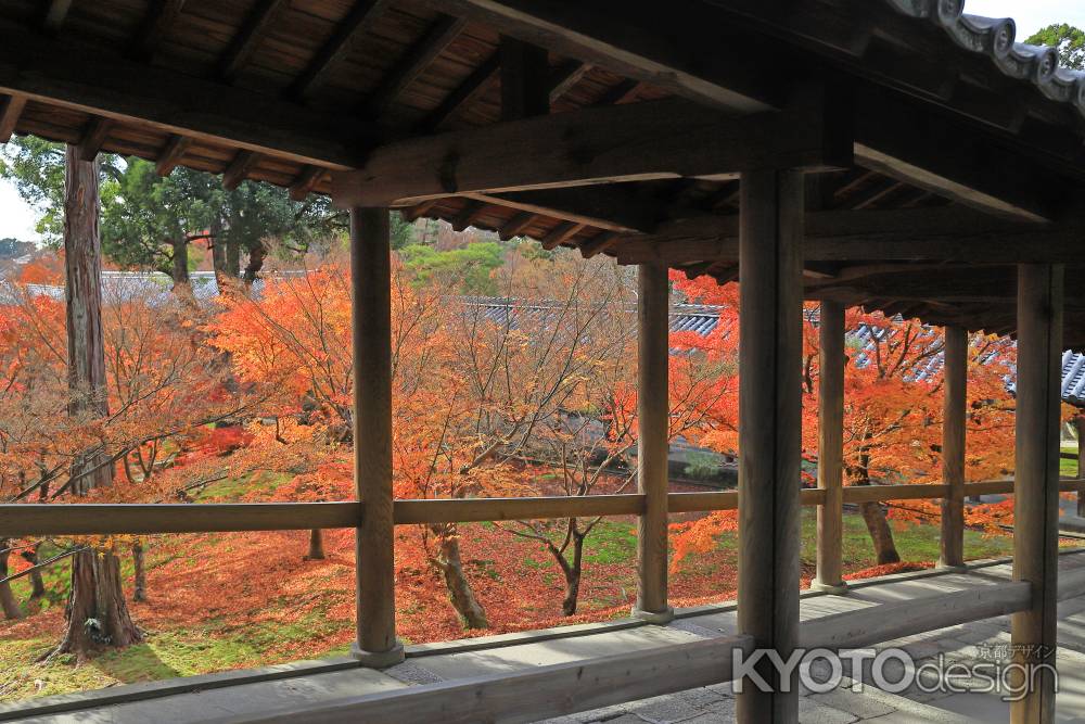 東福寺開山堂への回廊の紅葉
