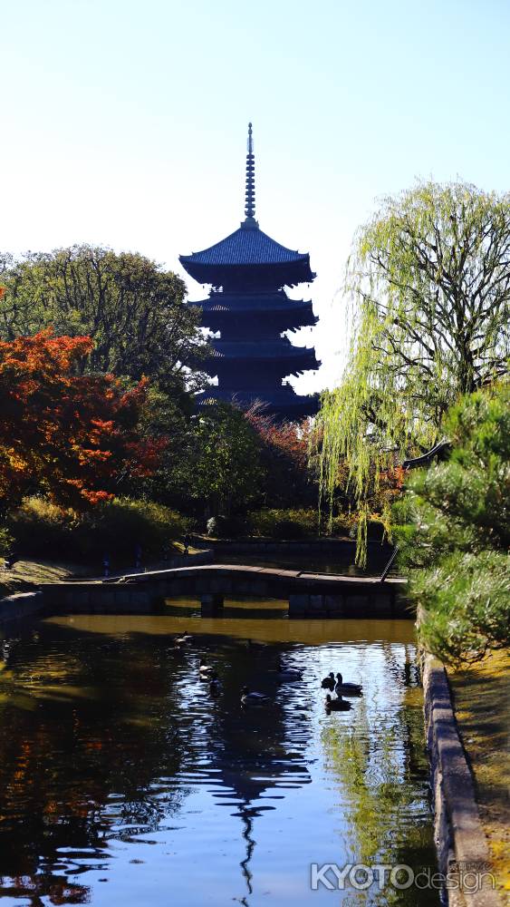 東寺　瓢箪池に写る国宝･五重塔