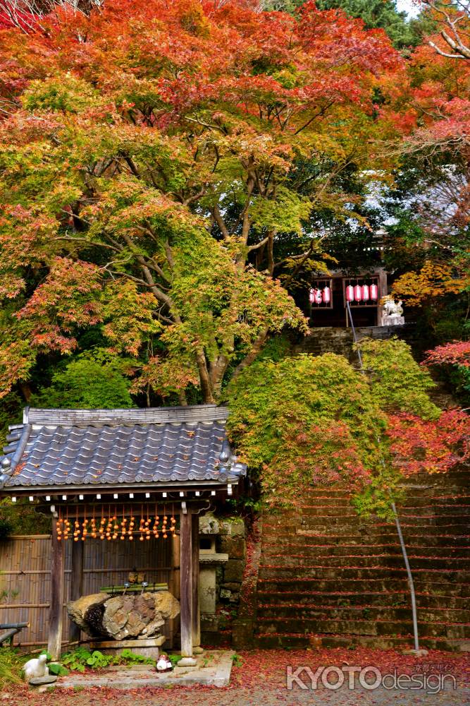 金蔵寺の秋