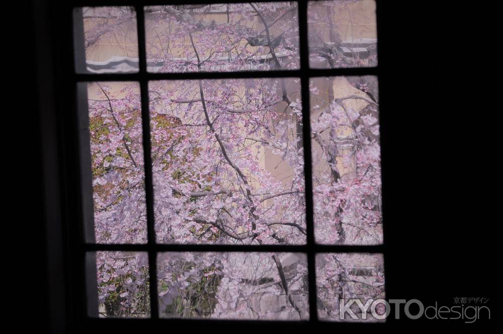 春色に染まる窓