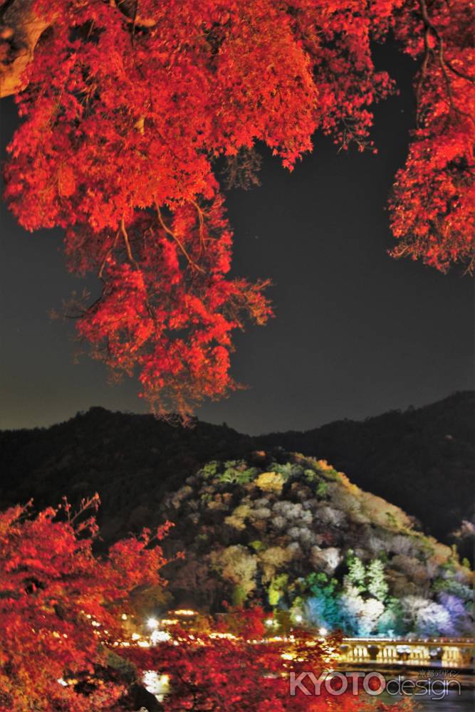 紅葉と嵐山ライトアップ