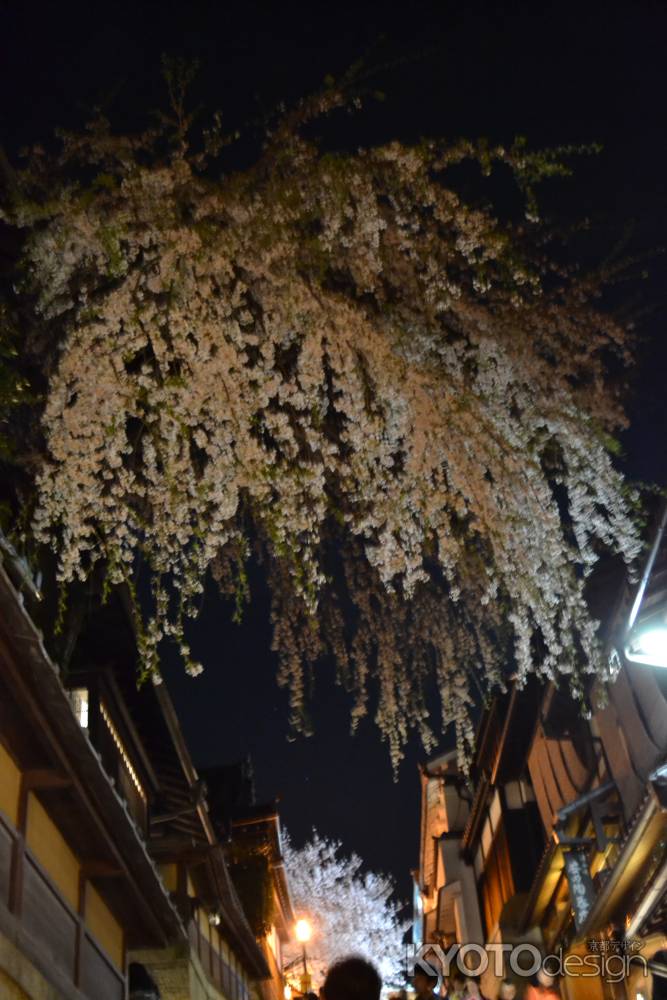 産寧坂の夜桜