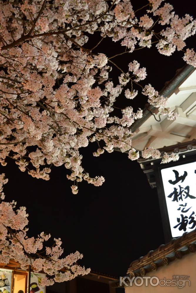 産寧坂 ピンクの夜桜