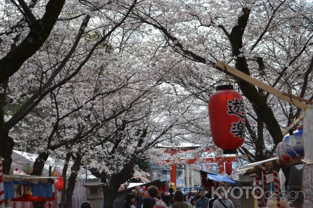平野神社　春の賑わいその２