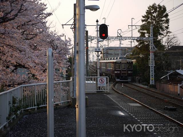 阪急上桂駅の桜