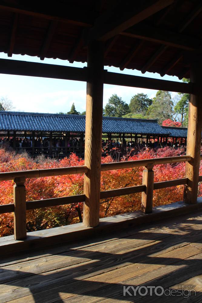 東福寺の紅葉と通天橋
