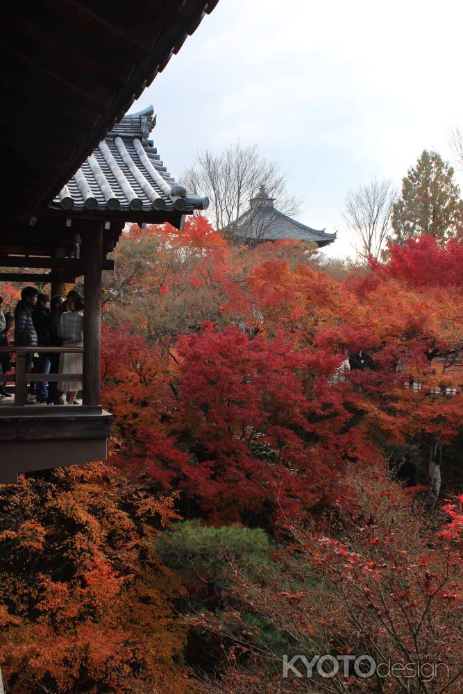 東福寺の紅葉と通天橋3