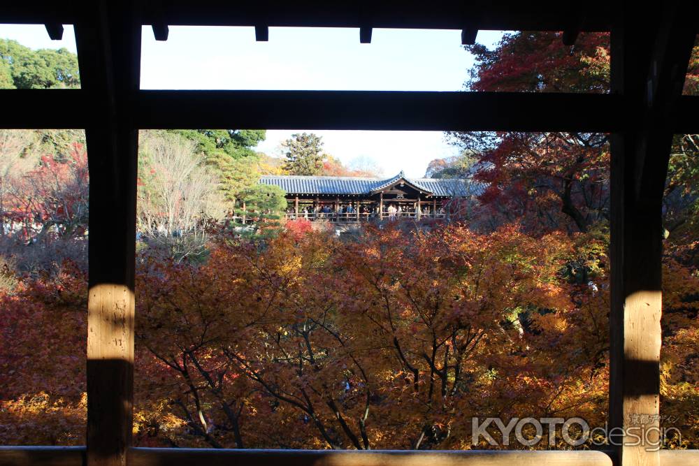 東福寺の紅葉と通天橋5