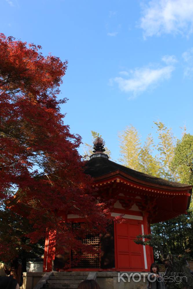 東福寺の紅葉4