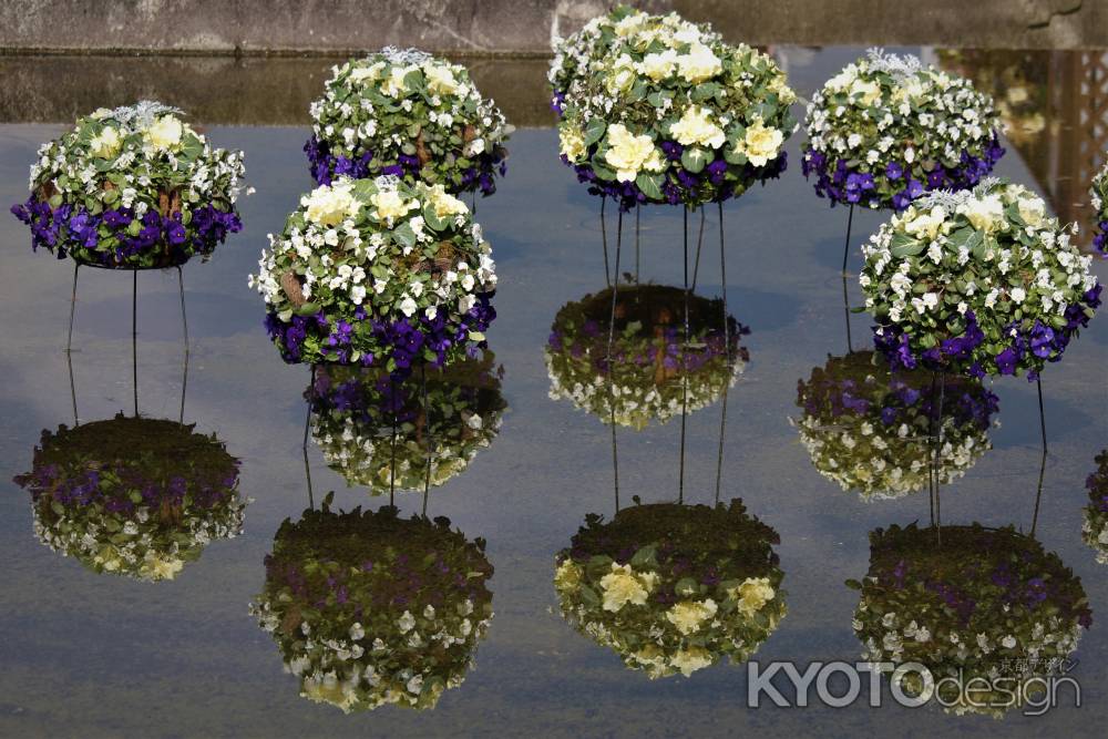 京都府立植物園　花詣