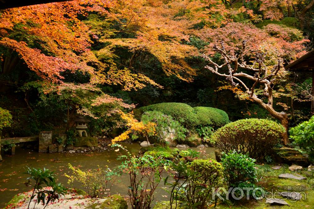 長楽寺庭園の紅葉4