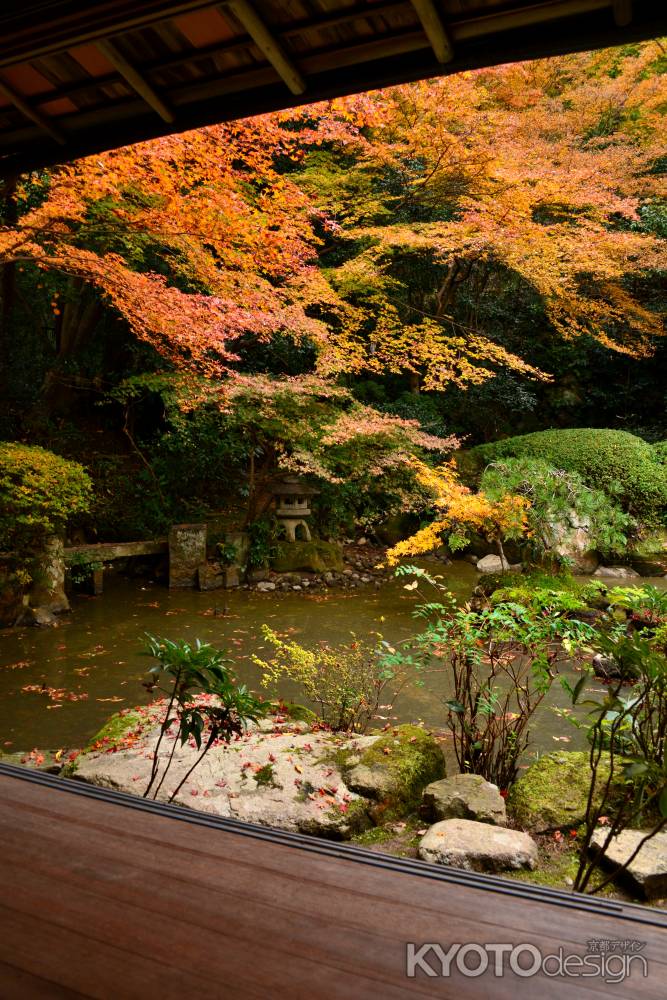 長楽寺庭園の紅葉5
