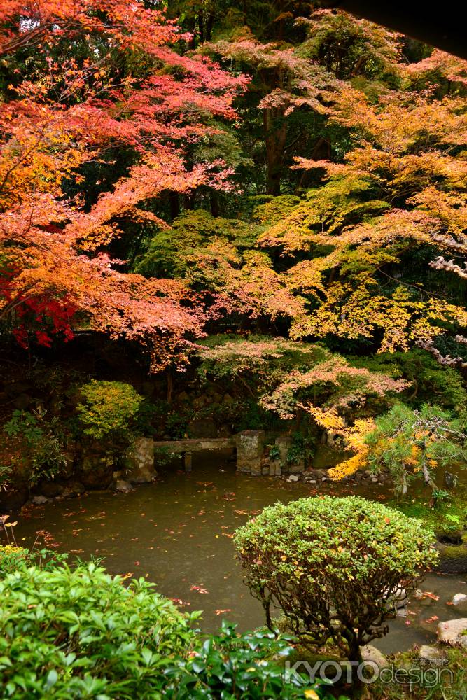 長楽寺庭園の紅葉7