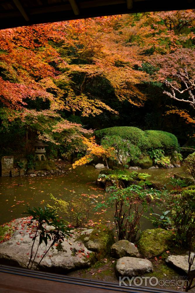 長楽寺庭園の紅葉3