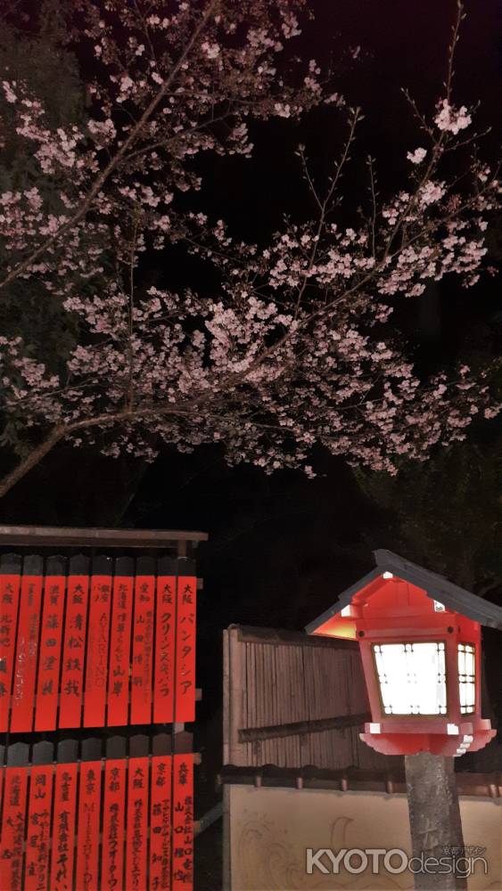 玉垣と河津桜