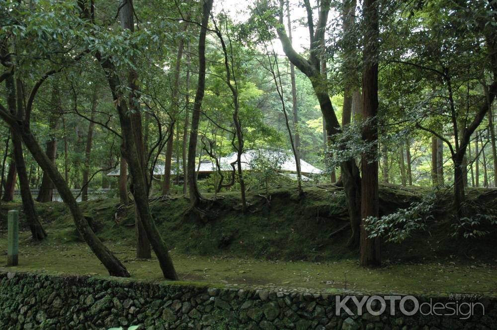 苔の覆った木々の奥にみえる西芳寺