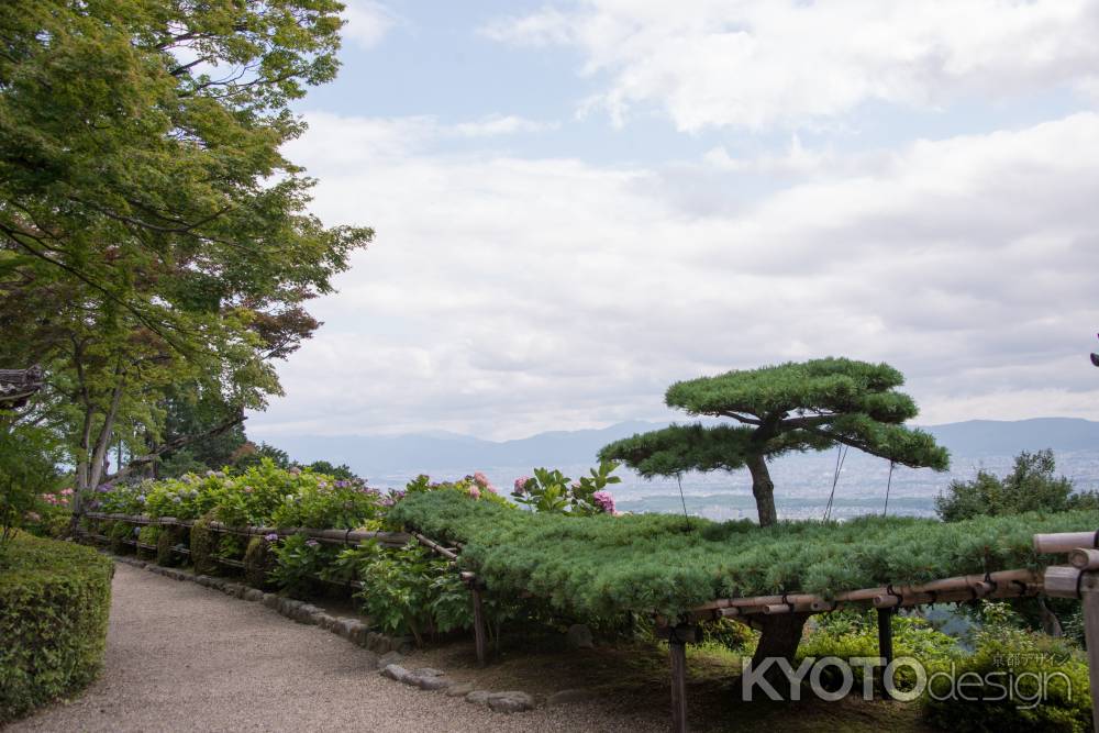 善峯寺　遊龍の松から望む京都