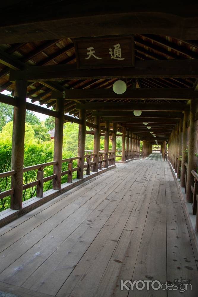 東福寺　緑の通天橋