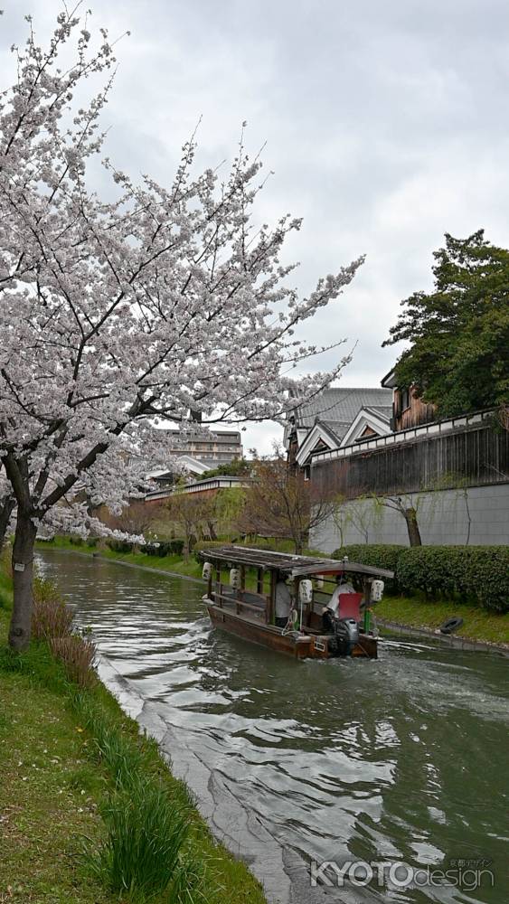 桜の十石舟