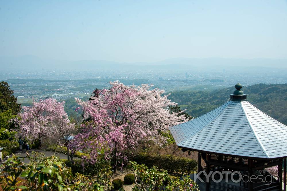 京都を見下ろす