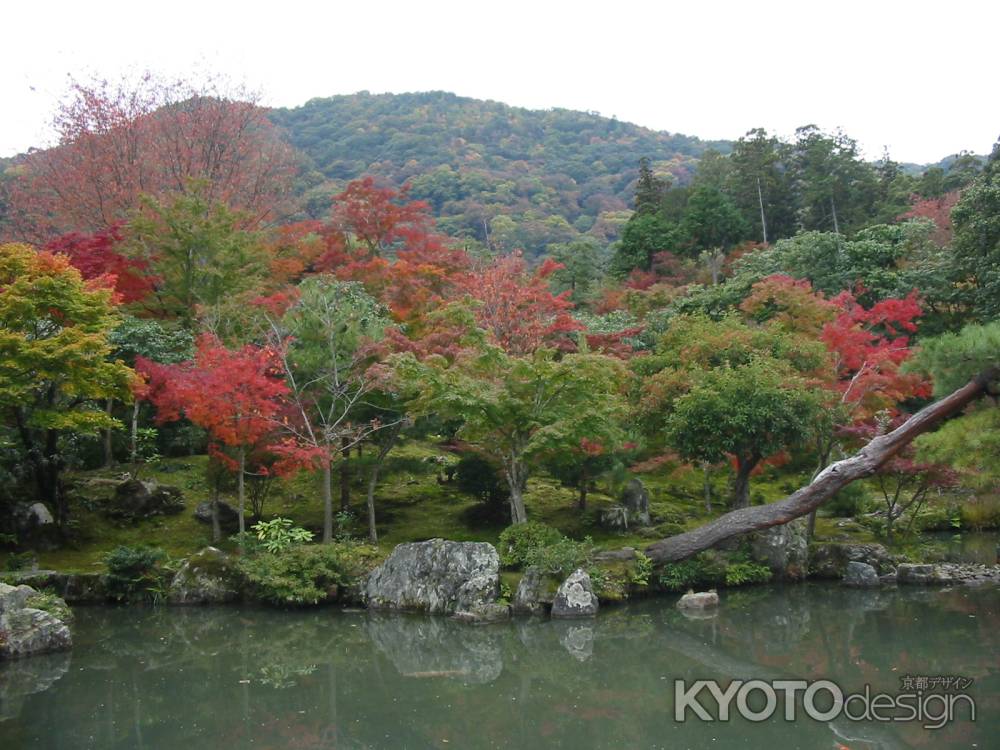 秋の天龍寺の池