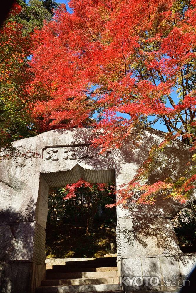 錦の禅寺