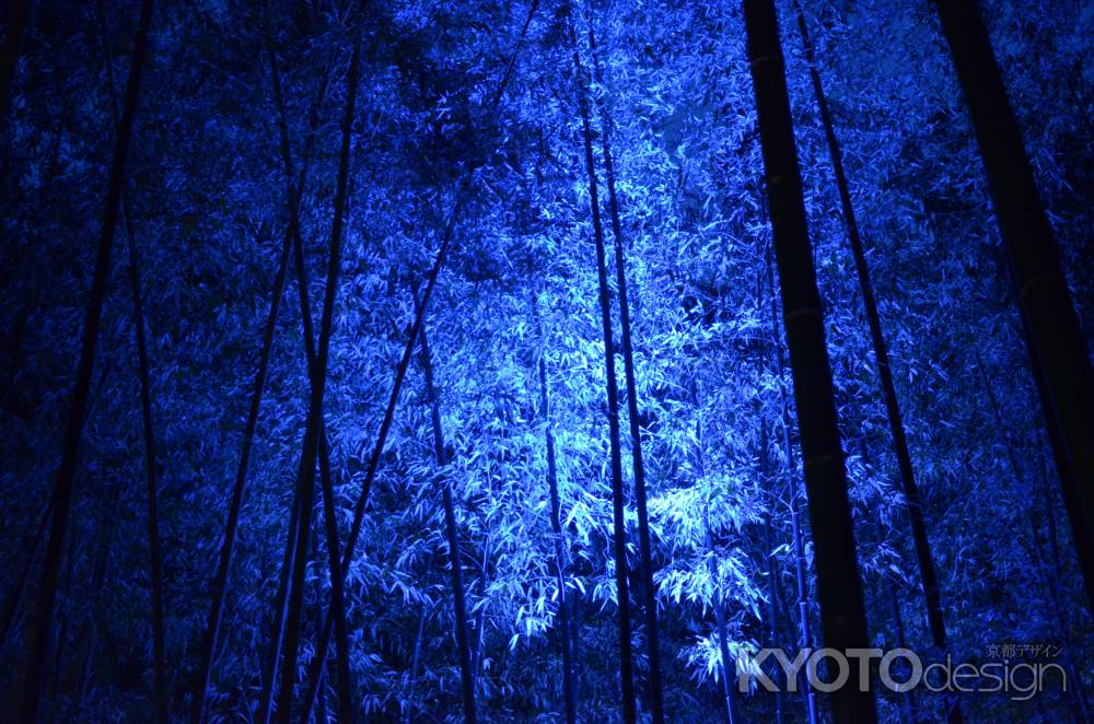嵐山花灯路2016 ライトアップ　蒼い竹林 (20161218b)