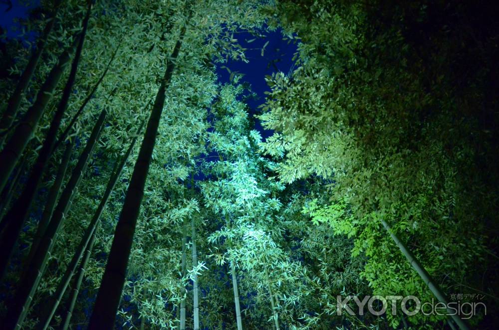 嵐山花灯路2016 ライトアップ　竹林 (20161218d)