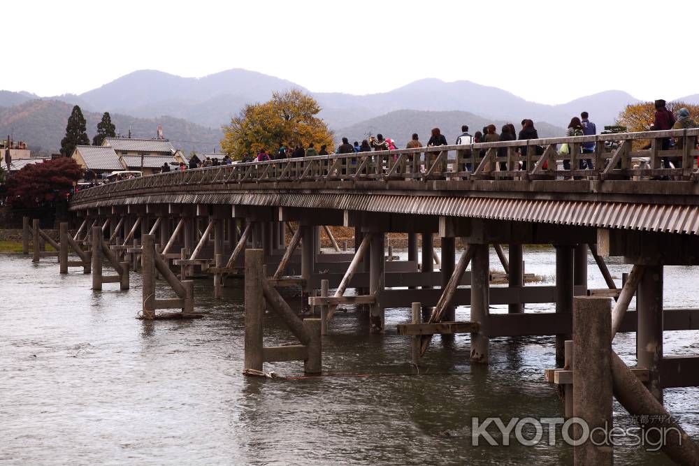 秋の渡月橋