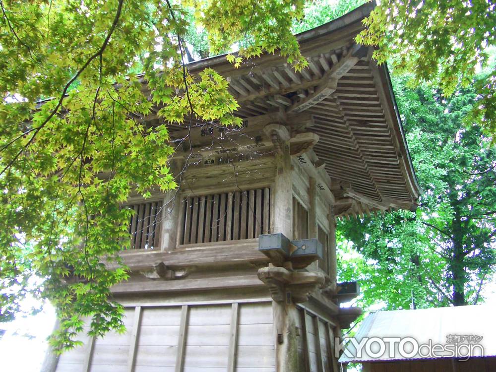 緑の楓と松尾寺
