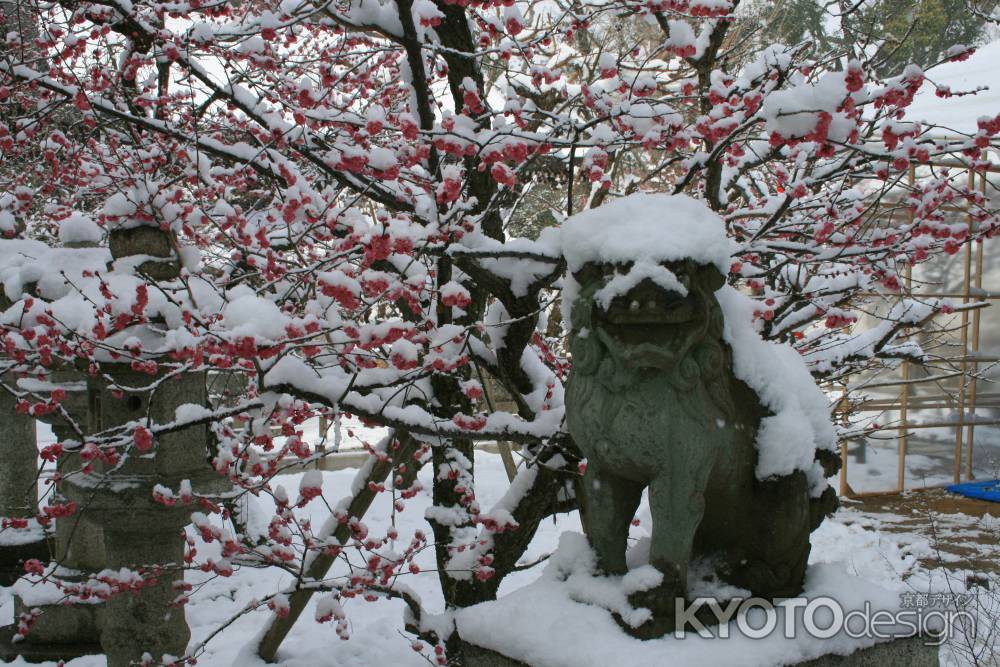雪かぶりの狛犬