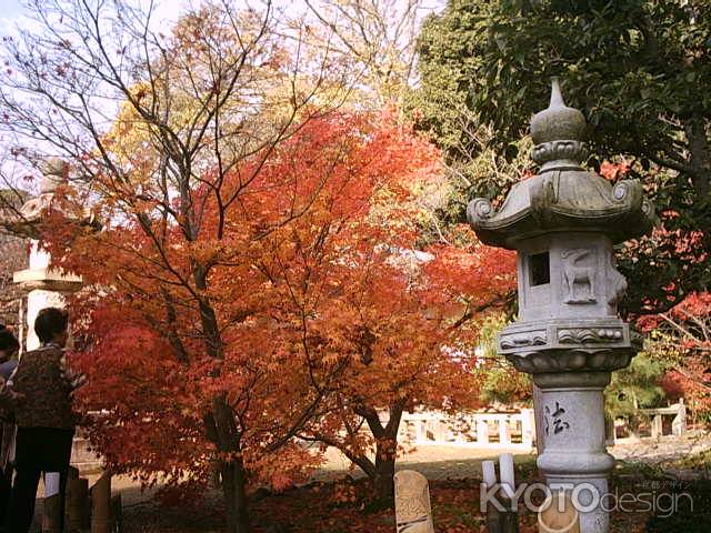 秋の光明寺