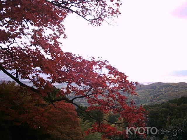 秋の善峯寺から望む風景