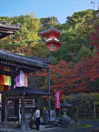 今熊野観寺の紅葉に映える医聖堂