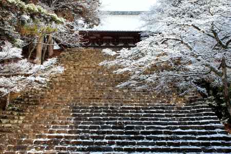 神護寺の雪