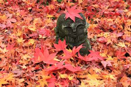 圓光寺のお地蔵さん、紅葉