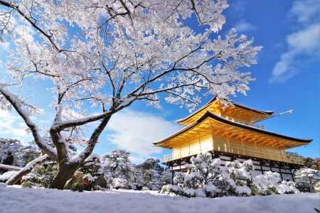 雪の金閣寺2023