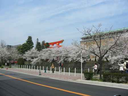 春の大鳥居と京都市美術館
