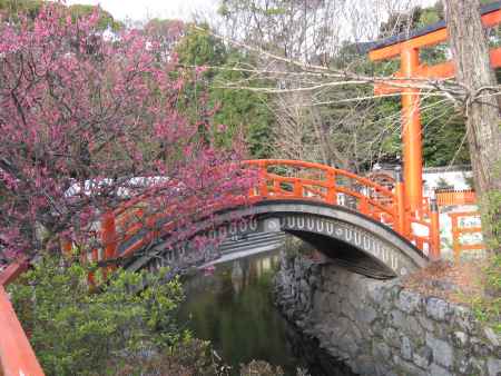 下鴨神社の赤い橋と紅梅